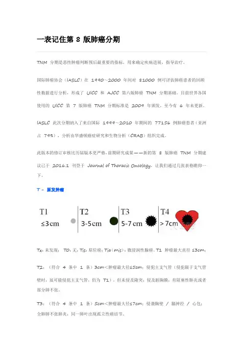 第八版肺癌 TNM 分期(2017 年 1 月执行)