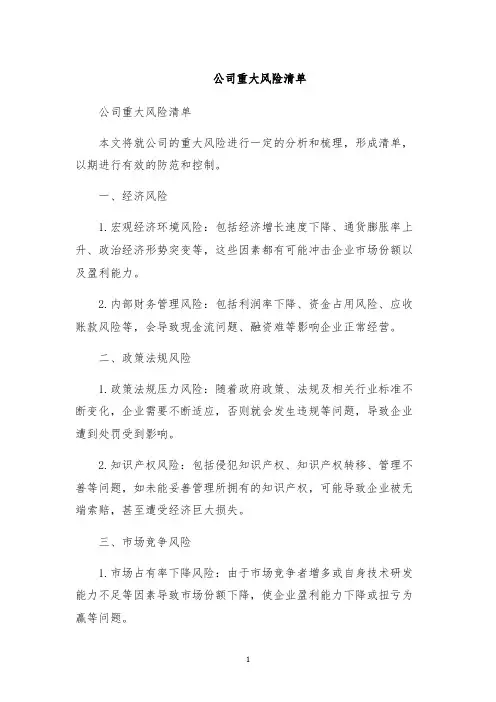 公司重大风险清单