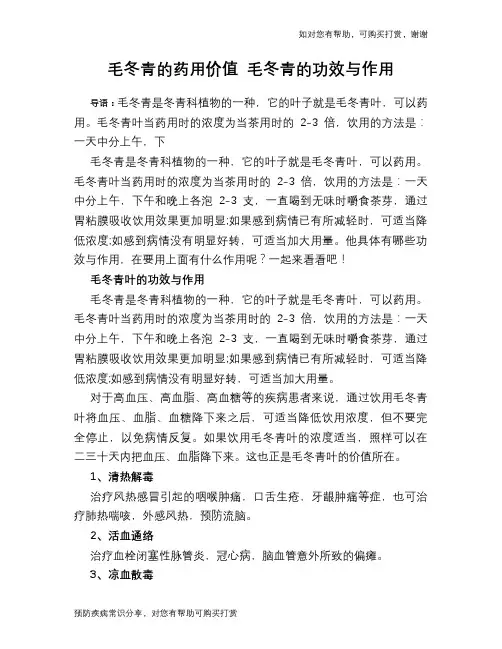 毛冬青的药用价值 毛冬青的功效与作用