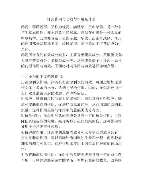 泽泻作用与功效与作用是什么