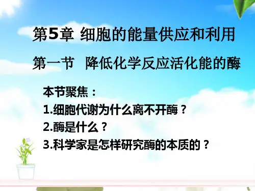 高中生物第一轮复习-酶的作用和本质