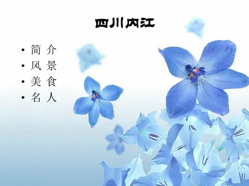 四川内江 介绍 PPT