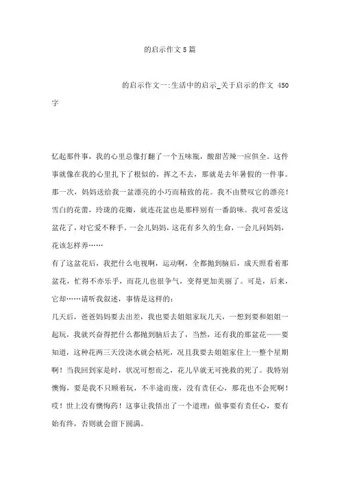 的启示作文5篇