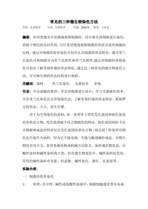 常见的三种微生物染色方法