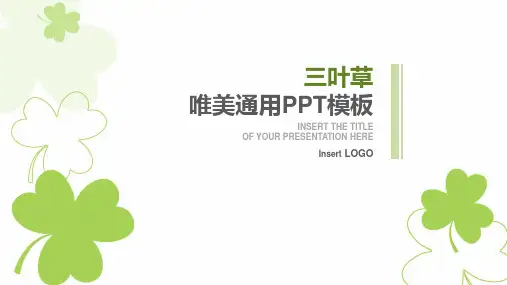 三叶草 唯美PPT模板