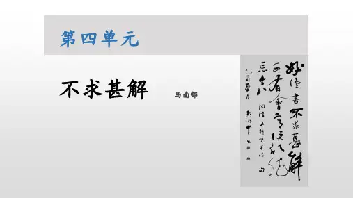 《不求甚解》PPT优质课件