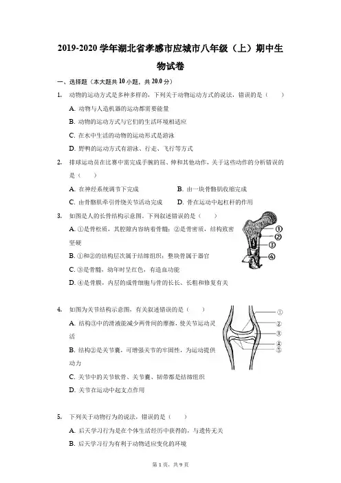 2019-2020学年湖北省孝感市应城市八年级(上)期中生物试卷(附答案详解)
