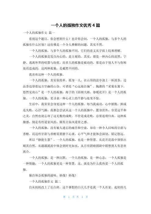 一个人的孤独作文优秀4篇