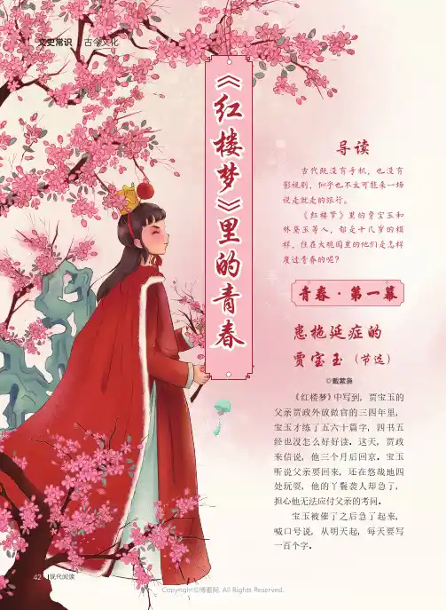 《红楼梦》里的青春