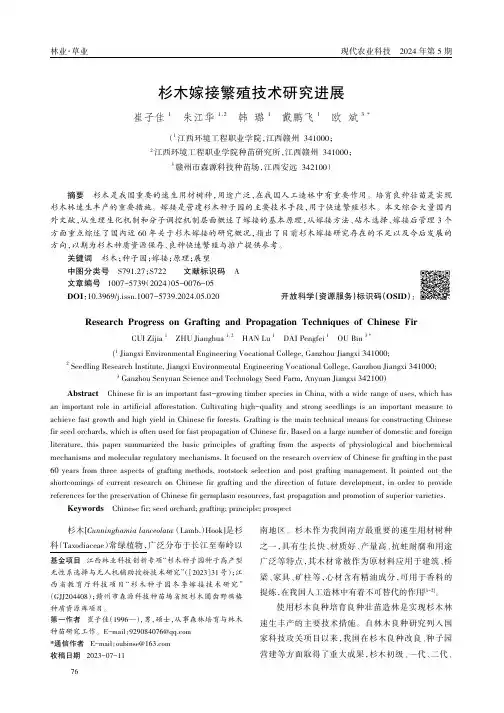杉木嫁接繁殖技术研究进展