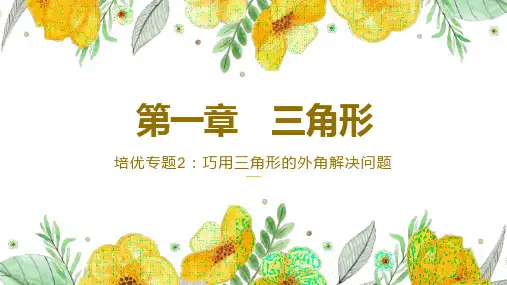 培优专题2：巧用三角形的外角解决问题