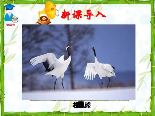 《陆地生活的动物》PPT课件