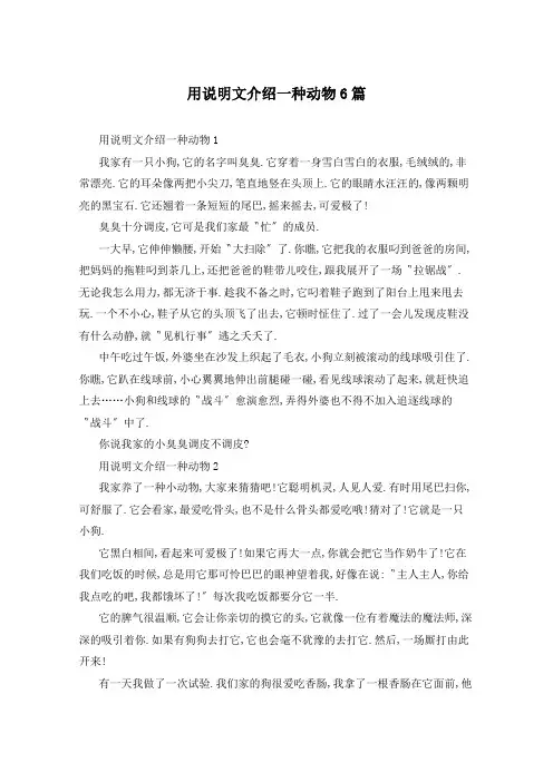 用说明文介绍一种动物6篇