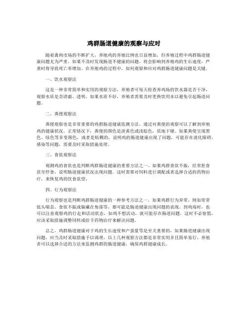 鸡群肠道健康的观察与应对