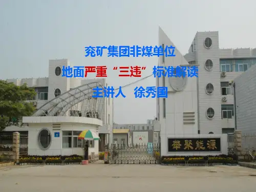 第31条“安排未经培训合格人员上岗作业的”解读徐秀国