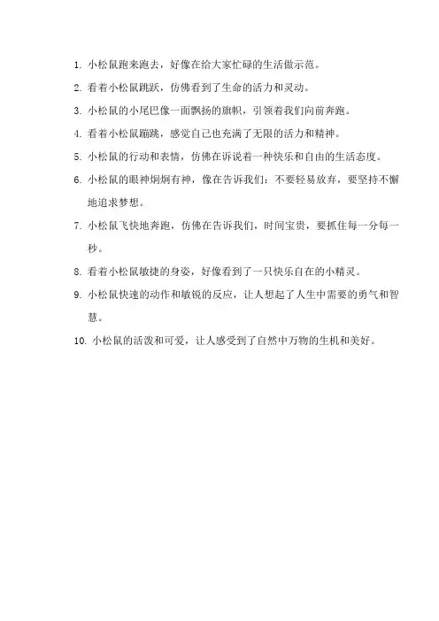 小松鼠跑来跑去拟人句