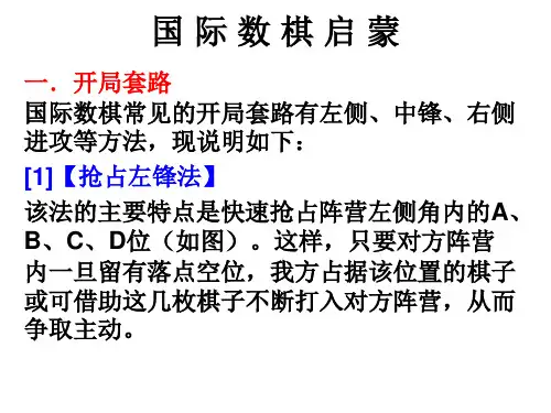 国 际 数 棋 开 局 套 路