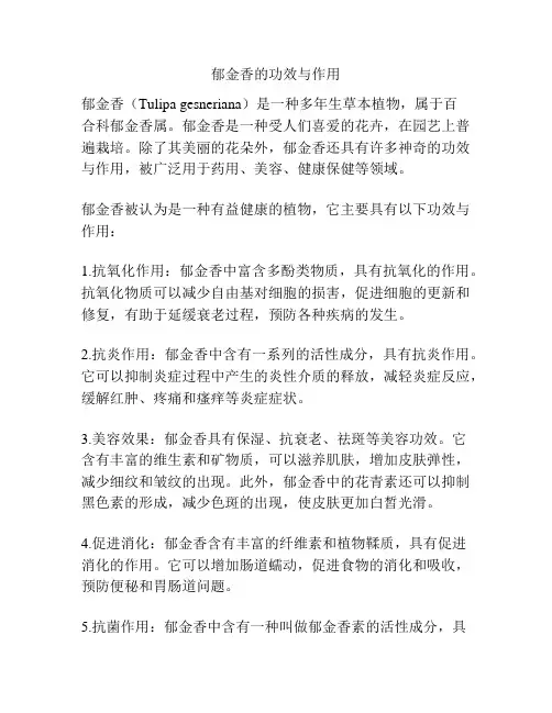 郁金香的功效与作用