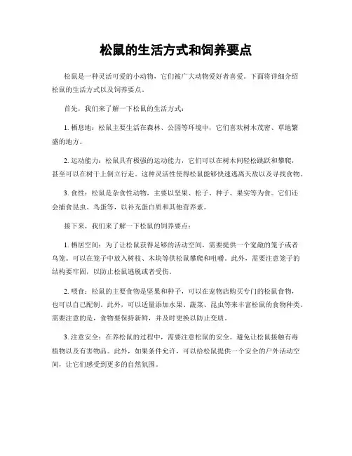 松鼠的生活方式和饲养要点