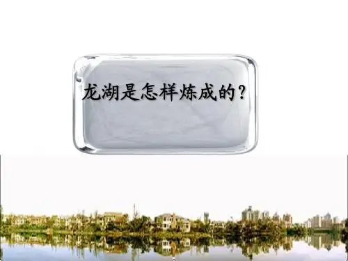 解读龙湖---龙湖是怎样炼成的(案例)