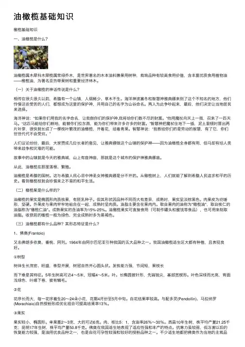 油橄榄基础知识