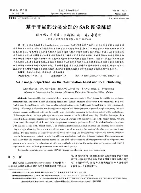 基于非局部分类处理的SAR图像降斑