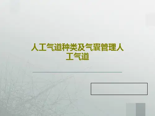 人工气道种类及气囊管理人工气道45页PPT