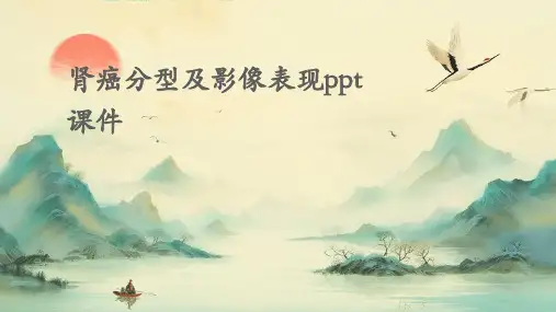 肾癌分型及影像表现ppt课件