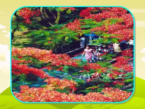 二年级下语文课件欢乐的泼水节_苏教版