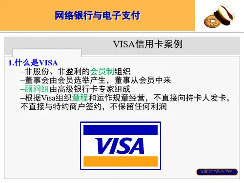 第三讲 信用卡管理案例_Visa汇总