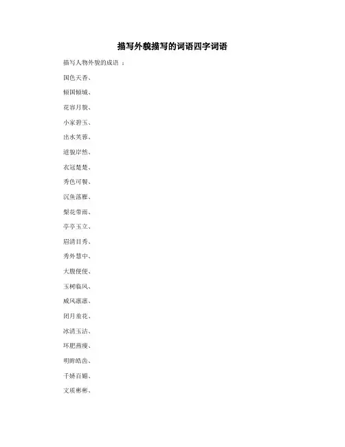 描写外貌描写的词语四字词语