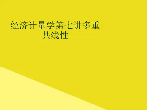 经济计量学第七讲多重共线性PPT资料(正式版)
