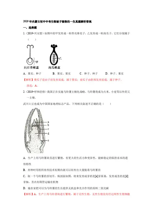 2019年内蒙古初中中考生物被子植物的一生真题解析答案