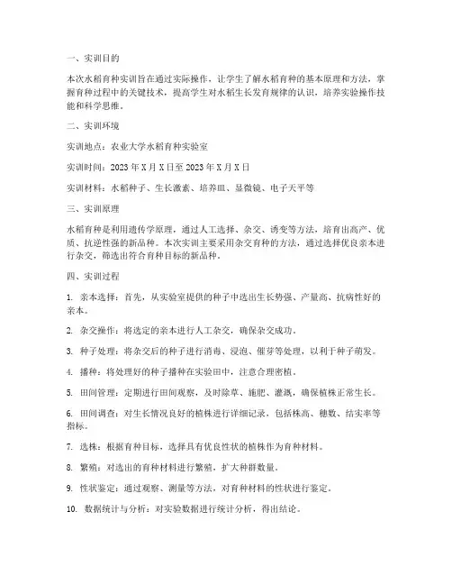 水稻育种实训报告范文