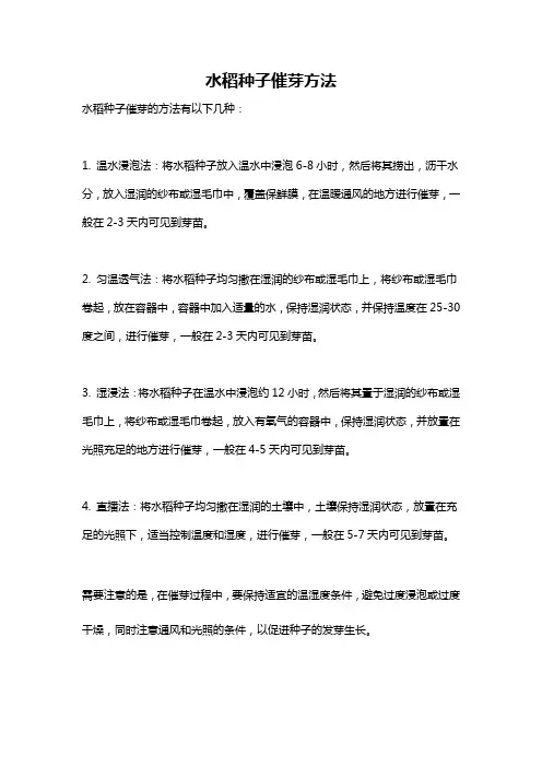 水稻种子催芽方法