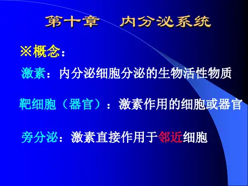 11  内分泌系统