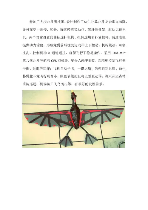 青少年科技创新大赛——仿生扑翼北斗龙的设计与制作