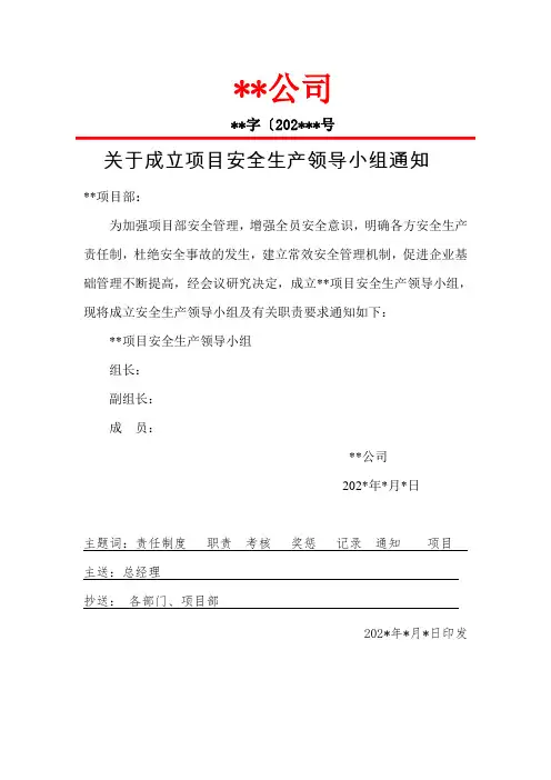 成立项目安全生产领导小组