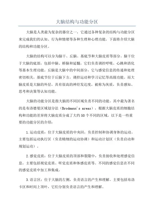 大脑结构与功能分区