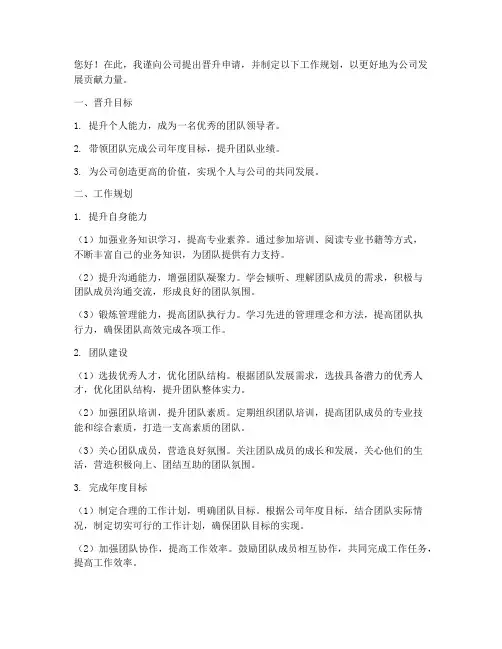 晋升申请工作规划
