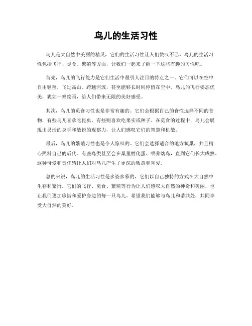 鸟儿的生活习性