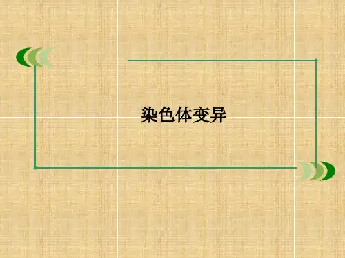 人教版高中生物必修二《染色体变异》教学课件PPT