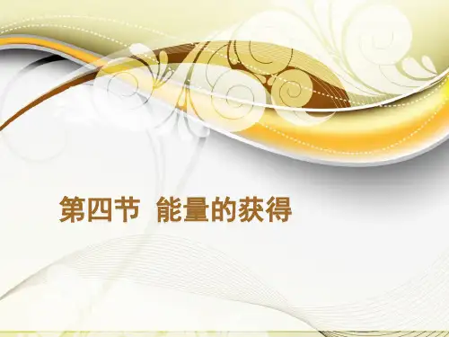 《能量的获得》优秀PPT