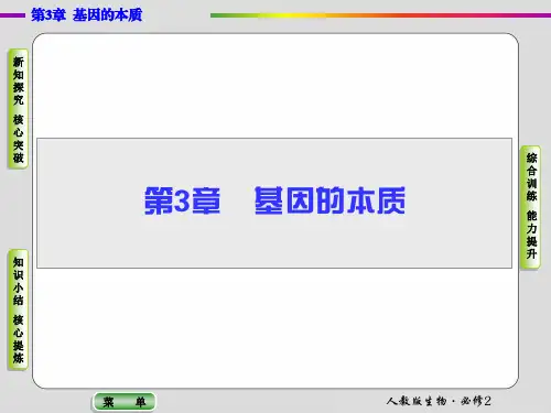 高中生物 基因的本质