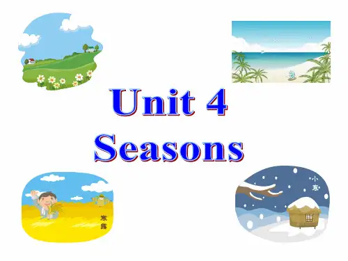 牛津深圳版沪教版初中七年级英语上册Unit4全单元教学课件