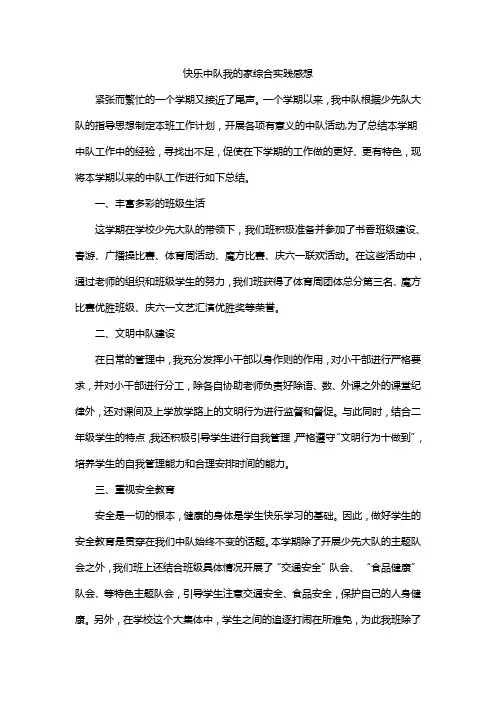 快乐中队我的家综合实践感想