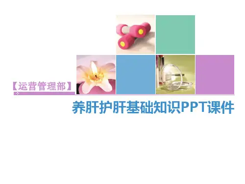 养肝护肝基础知识PPT课件