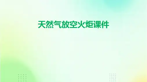天然气放空火炬课件