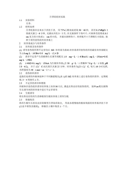 月季的组培实践