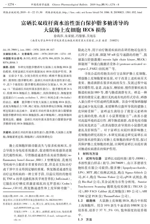 富硒长双歧杆菌水溶性蛋白保护脂多糖诱导的大鼠肠上皮细胞 IEC6损伤